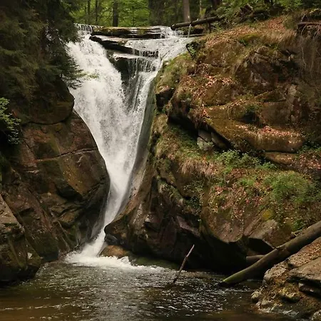 Holidayhome Karkonosze, Free In Beautiful Nature *