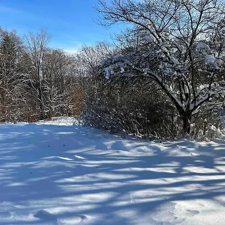 Holidayhome Karkonosze, Free In Beautiful Nature Villa